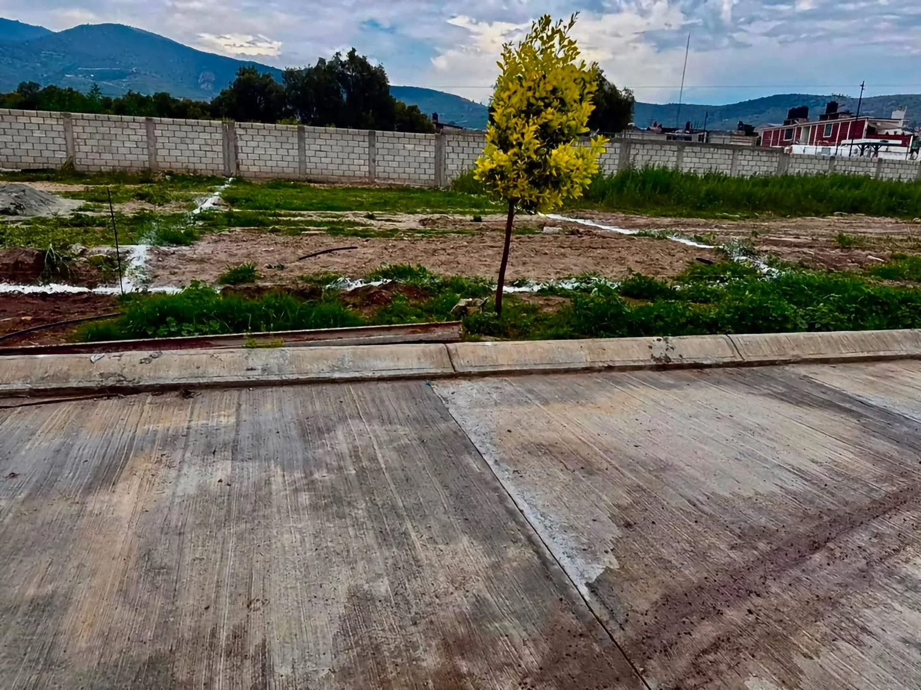 Vista de terreno urbanizado